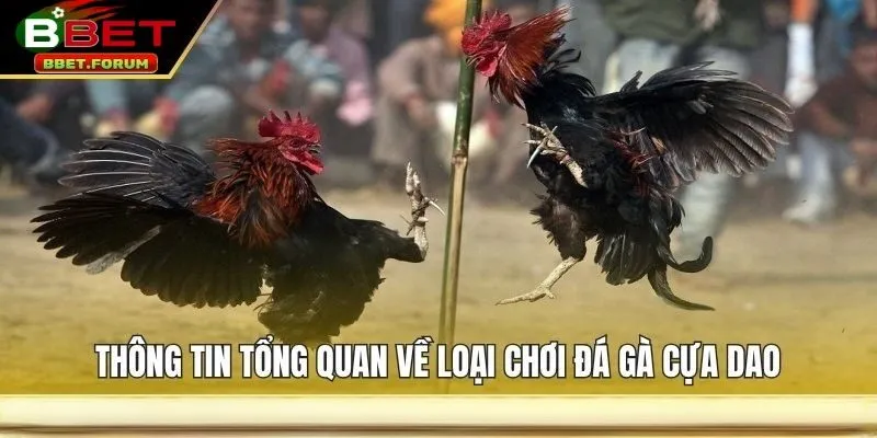Đá Gà Cựa Dao BBET là một trong những loại hình giải trí trực tuyến được yêu thích nhất tại Việt Nam hiện nay