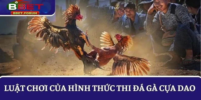 Luật chơi của hình thức đá gà cựa dao tại BBET 